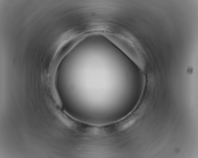 X0000091511234200708171149