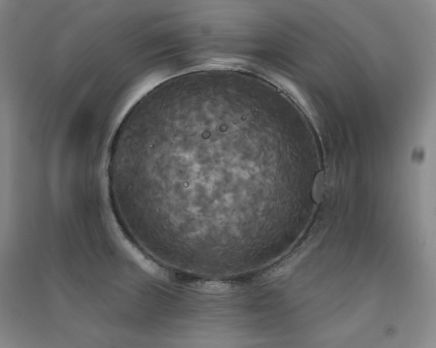 X0000091511235200708171149