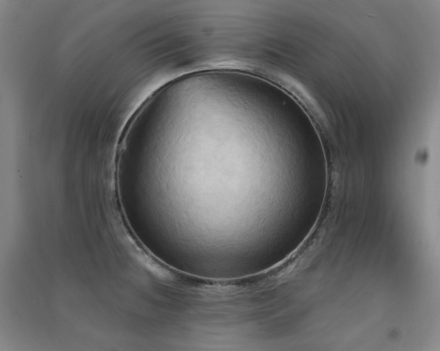 X0000091511236200708171149