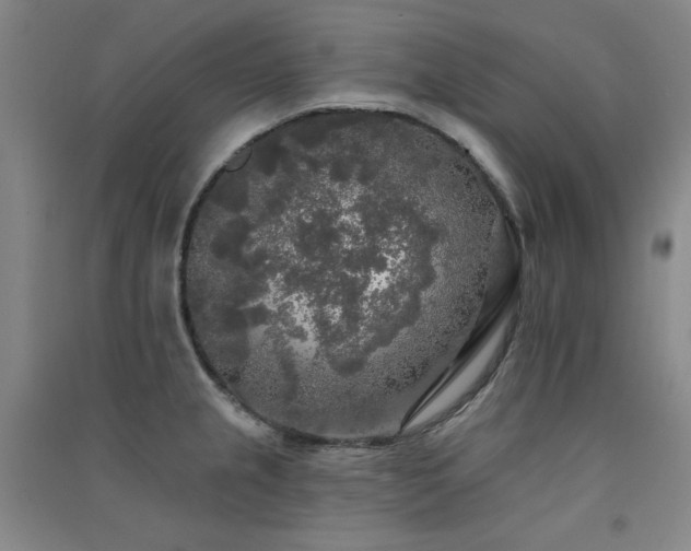 X0000091511237200708171149