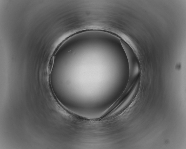 X0000091511238200708171149