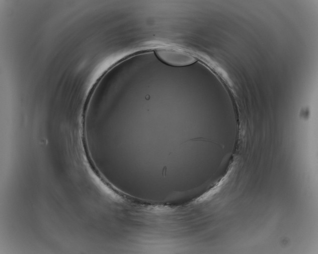 X0000091511239200708171149
