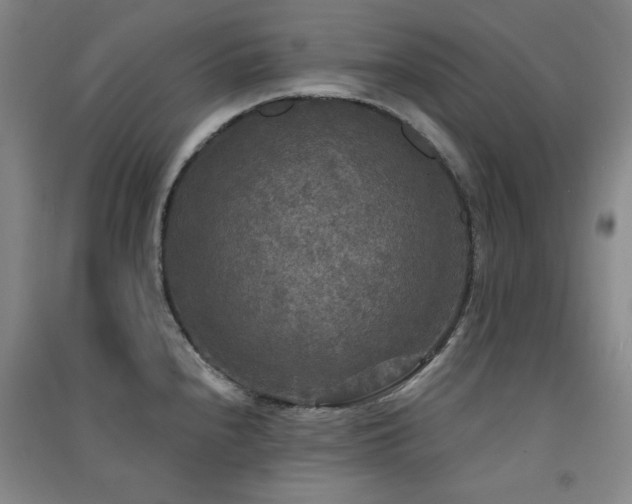 X0000091511240200708171149