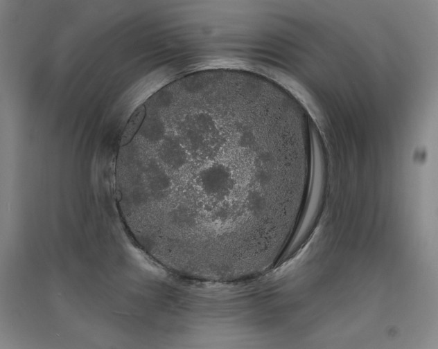 X0000091511241200708171149