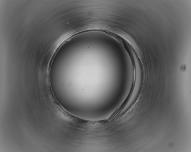 X0000091511242200708171149
