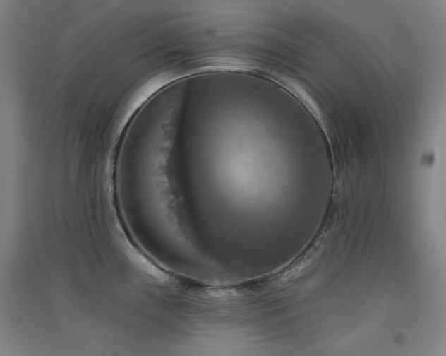 X0000091511243200708171149