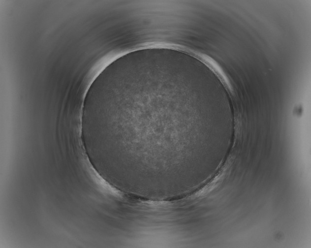 X0000091511244200708171149