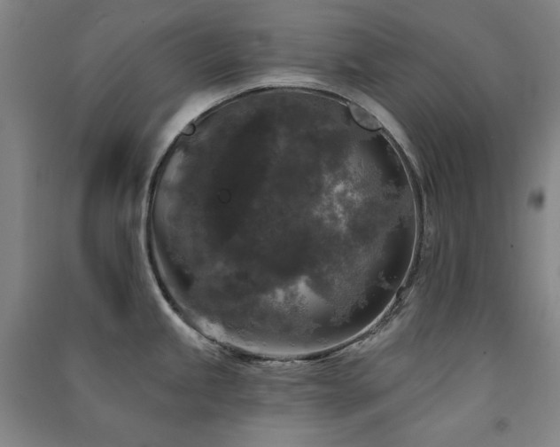 X0000091511245200708171149