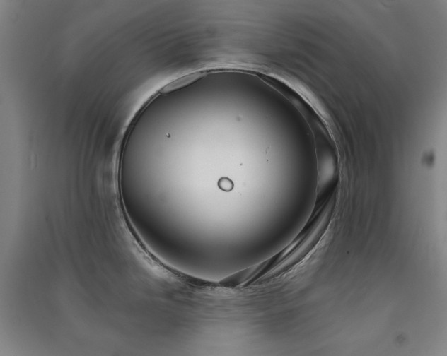 X0000091511246200708171149