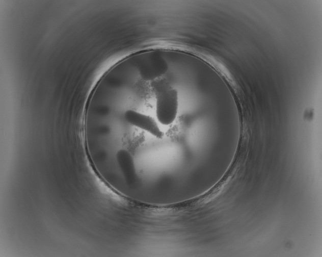 X0000091511247200708171149