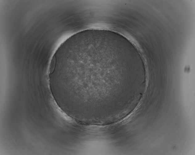 X0000091511248200708171149