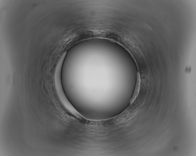 X0000091511249200708171149