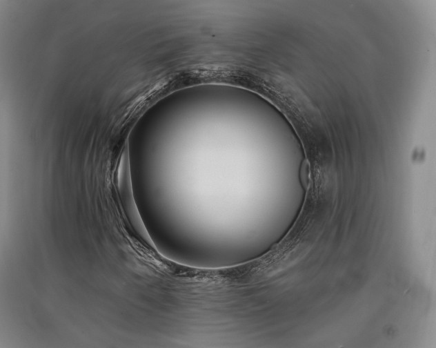 X0000091511250200708171149