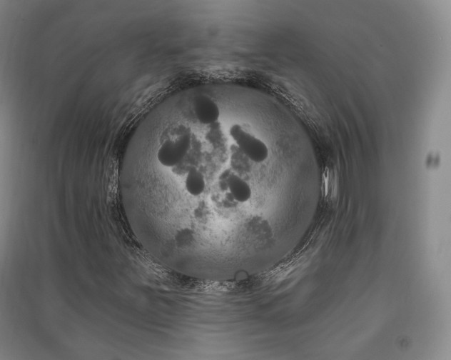 X0000091511251200708171149