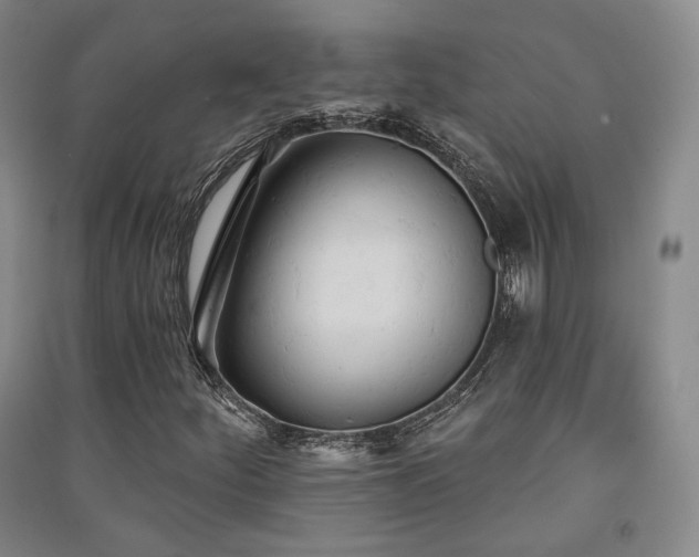 X0000091511252200708171148