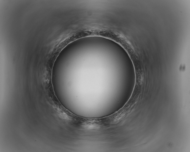 X0000091511253200708171148