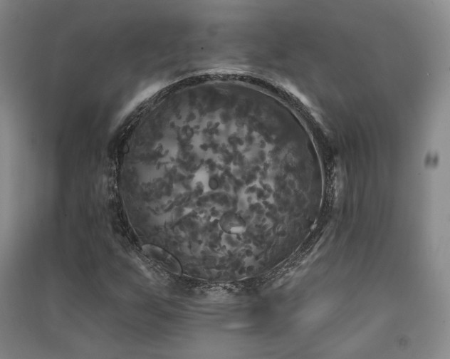 X0000091511255200708171148