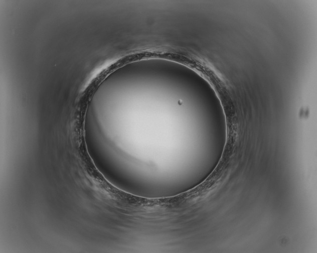 X0000091511256200708171148