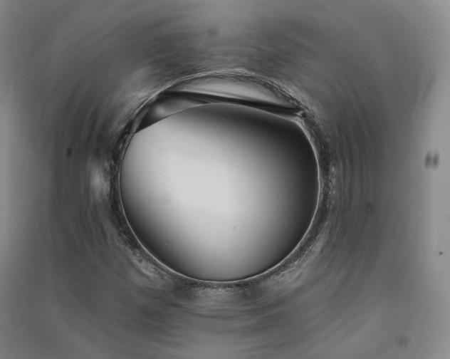 X0000091511257200708171148