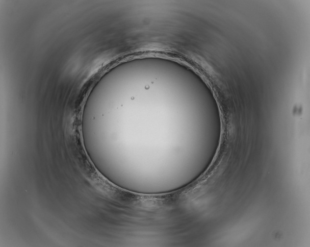 X0000091511258200708171148