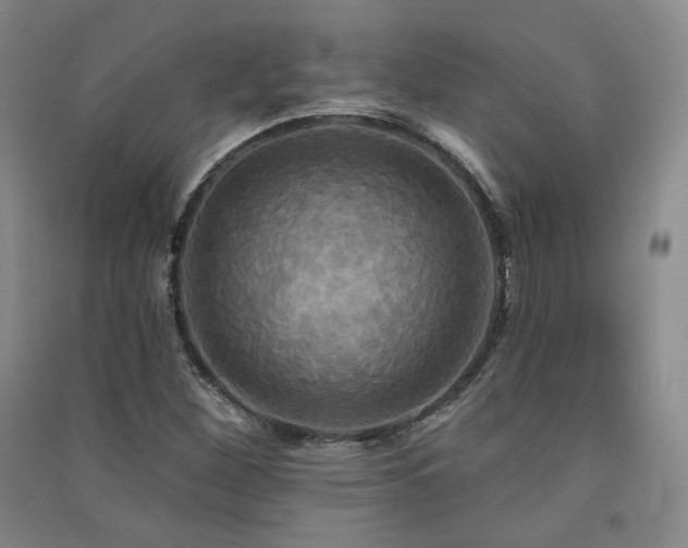 X0000091511260200708171148