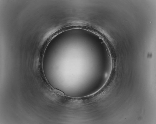 X0000091511261200708171148