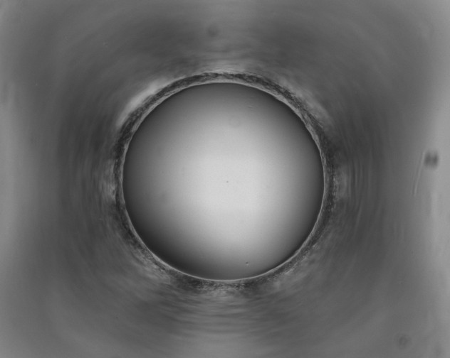 X0000091511262200708171148