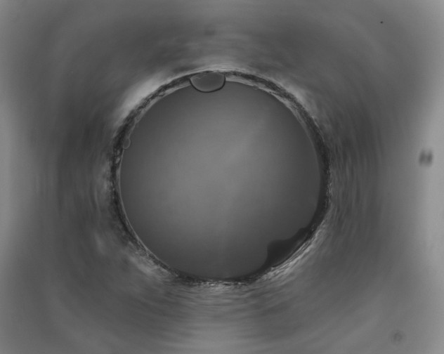 X0000091511263200708171148