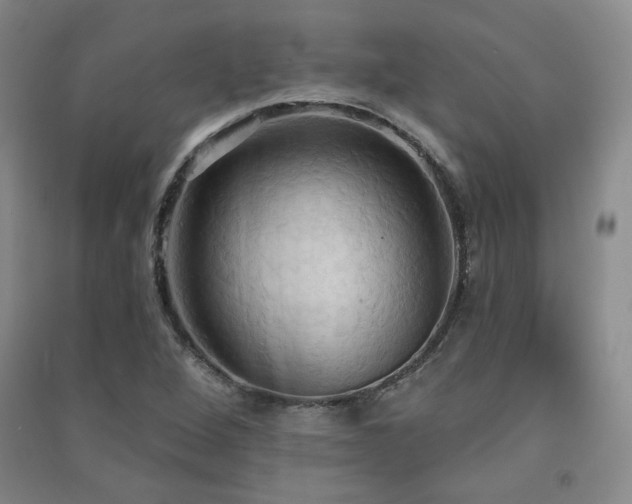 X0000091511264200708171148