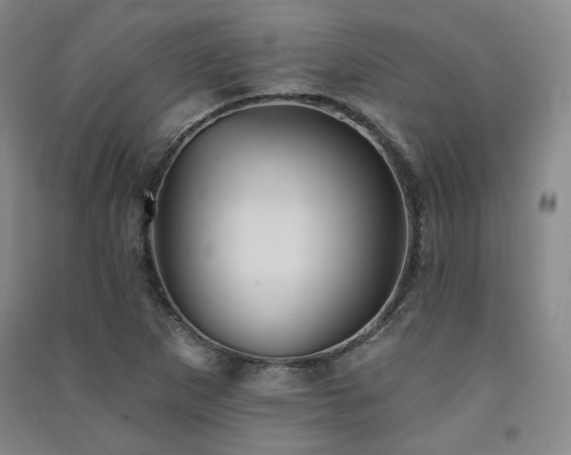 X0000091511265200708171148