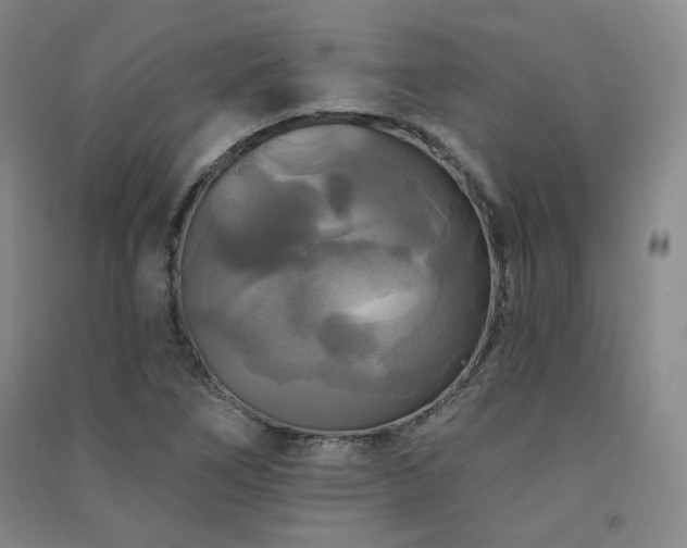 X0000091511266200708171148