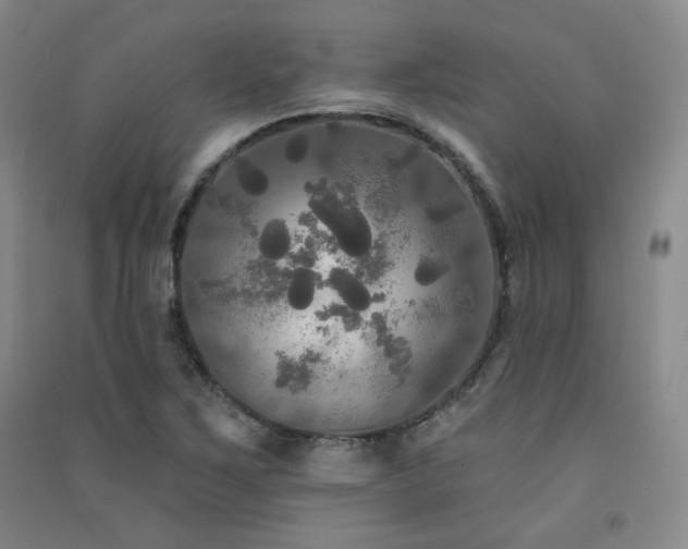 X0000091511267200708171148
