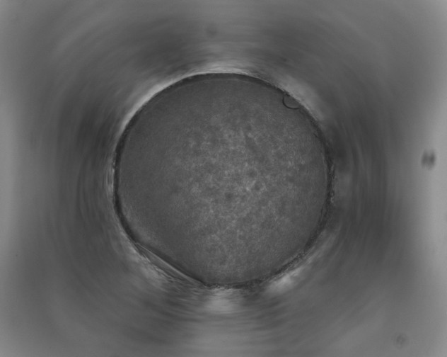 X0000091511268200708171148