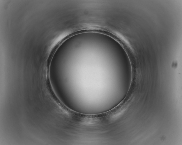 X0000091511269200708171148