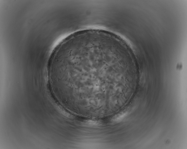 X0000091511271200708171148