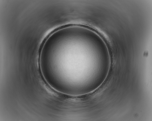 X0000091511272200708171148