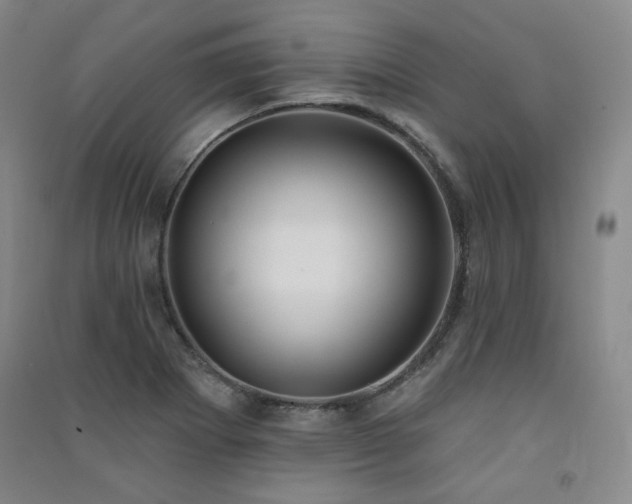 X0000091511273200708171148