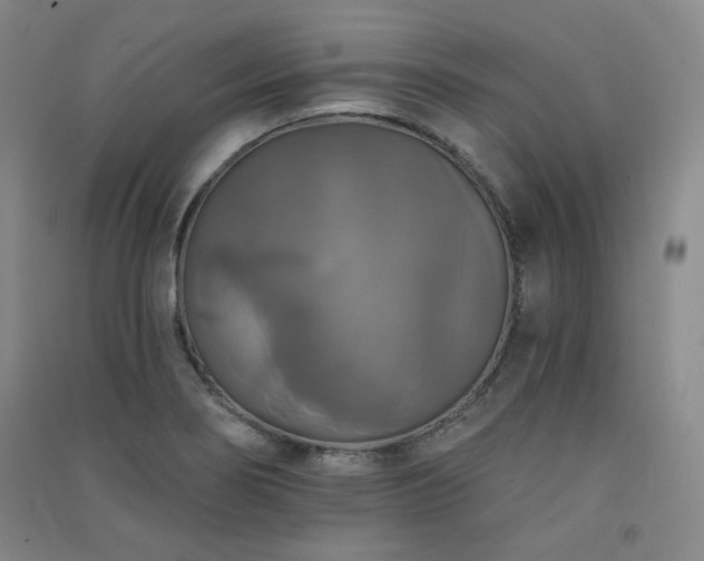X0000091511274200708171148