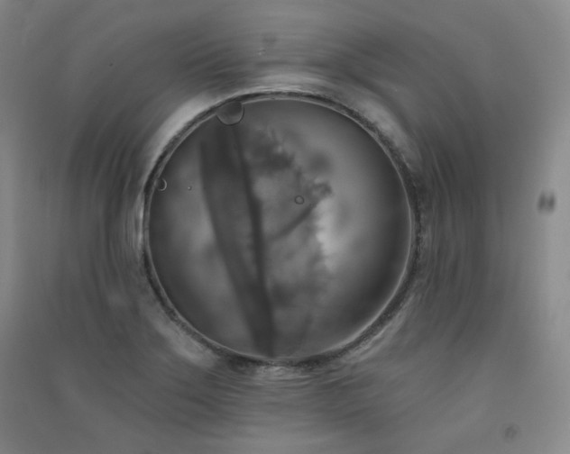 X0000091511275200708171148
