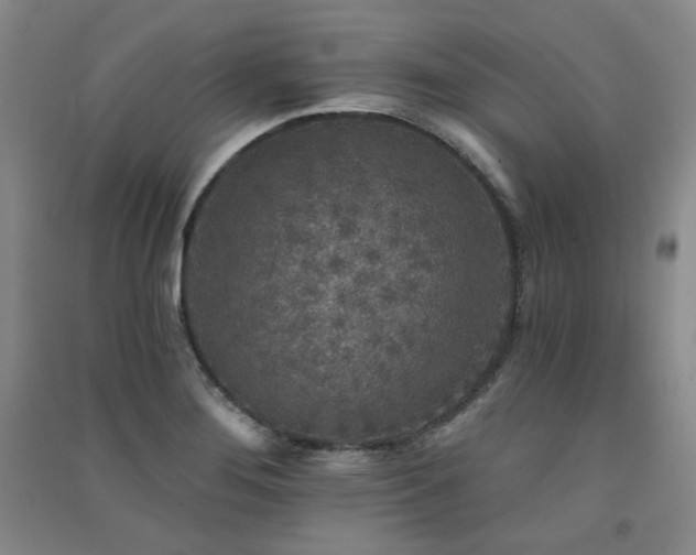 X0000091511276200708171148