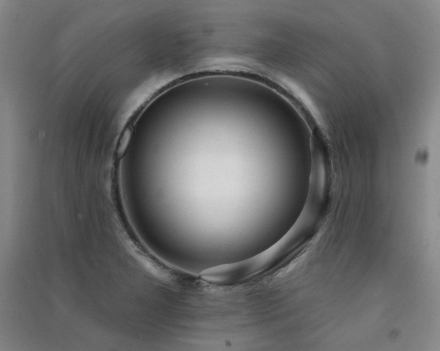X0000091511277200708171148