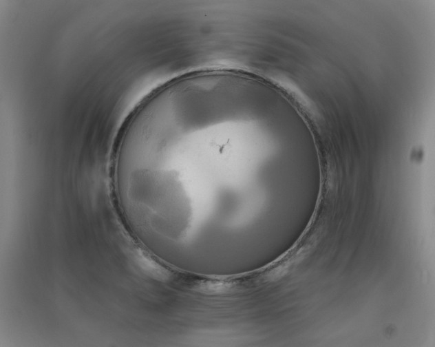 X0000091511278200708171148