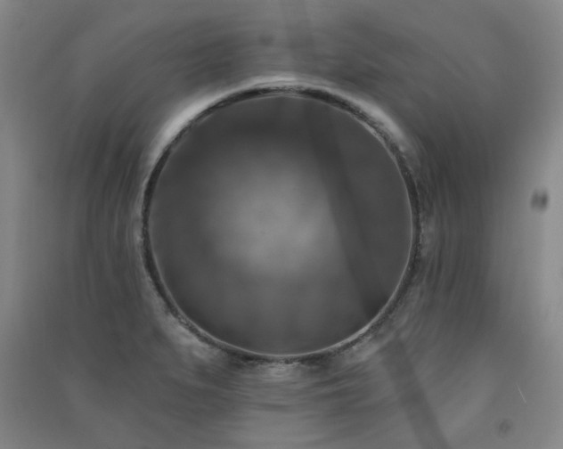 X0000091511279200708171148