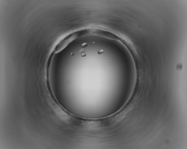 X0000091511280200708171148