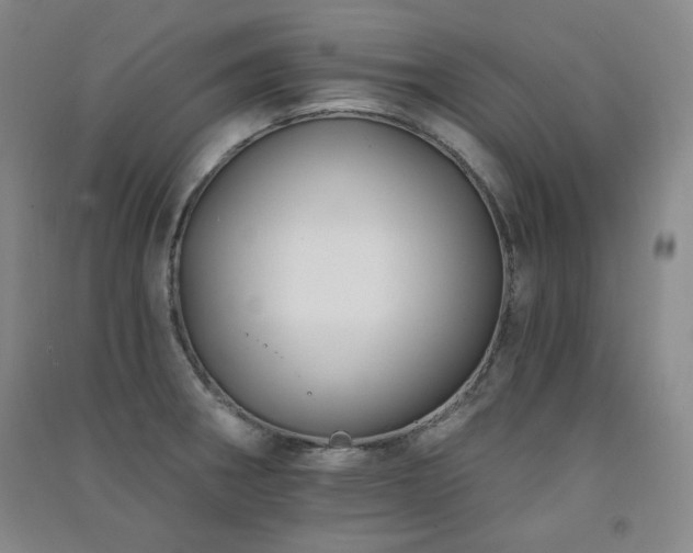 X0000091511282200708171148