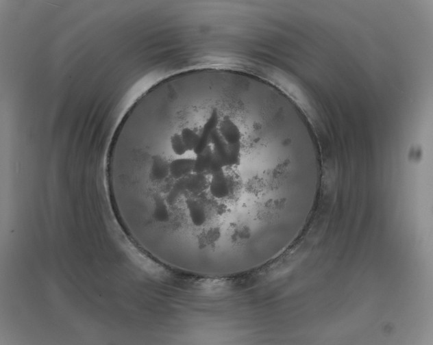 X0000091511283200708171148