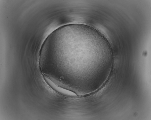 X0000091511284200708171148