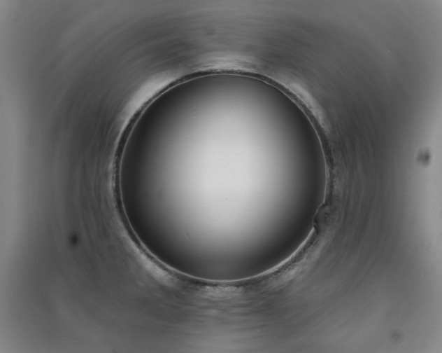 X0000091511285200708171148