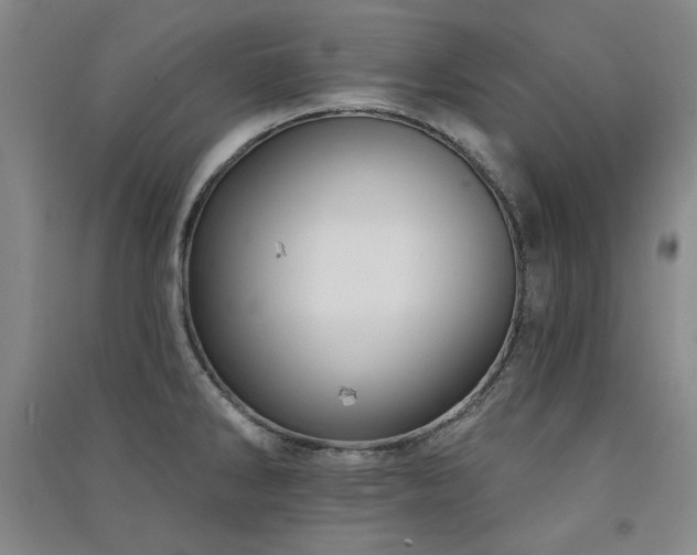 X0000091511286200708171148