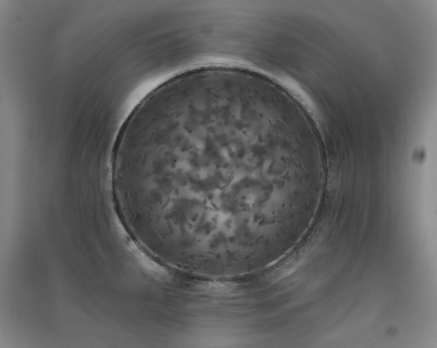 X0000091511287200708171148